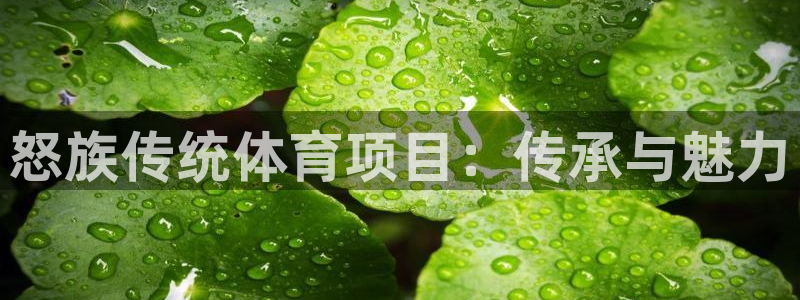 必发集团app|怒族传统体育项目：传承与魅力