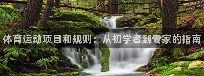 必发集团网站检查线路