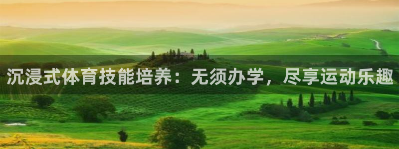 沉浸式体育技能培养：无须办学，尽享运动乐趣