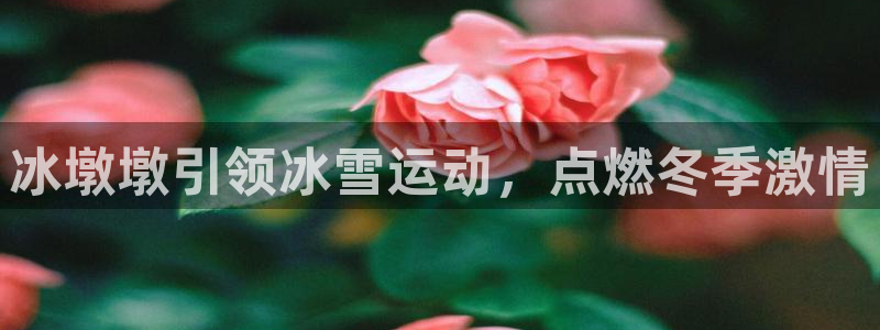 必发集团官网登录|冰墩墩引领冰雪运动，点燃冬季激情