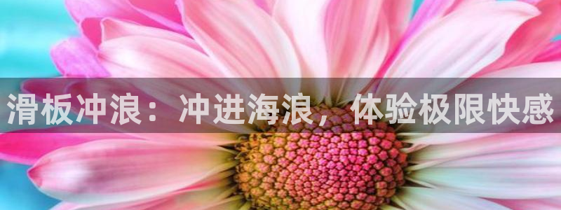 必发集团所有平台大全|滑板冲浪：冲进海浪，体验极限快感
