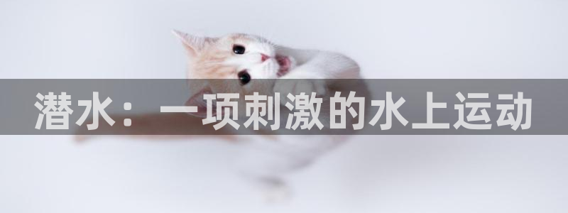 必发集团网站大全|潜水：一项刺激的水上运动