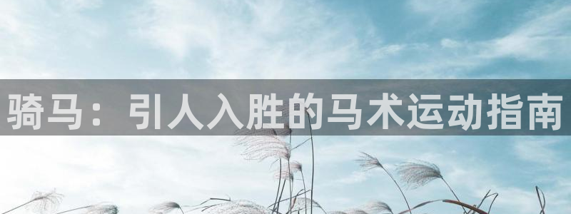必发集团官网登录|骑马：引人入胜的马术运动指南