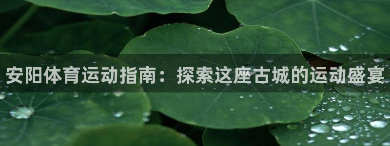 必发集团7790|安阳体育运动指南：探索这座古城的运动盛宴