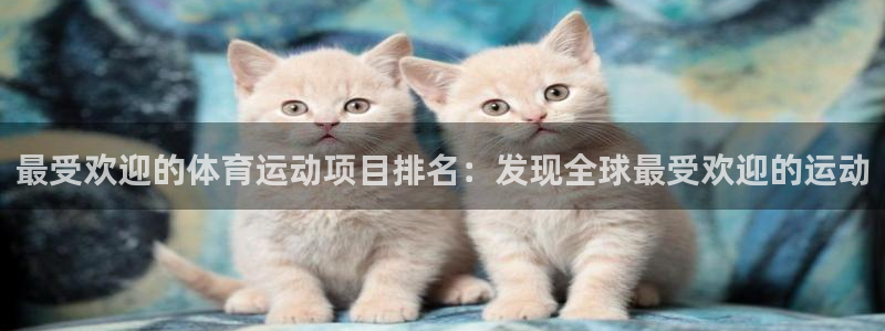 welcome必发集团|最受欢迎的体育运动项目排名：发现全球