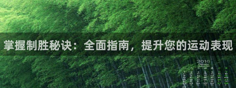 澳门必发集团|掌握制胜秘诀：全面指南，提升您的运动表现