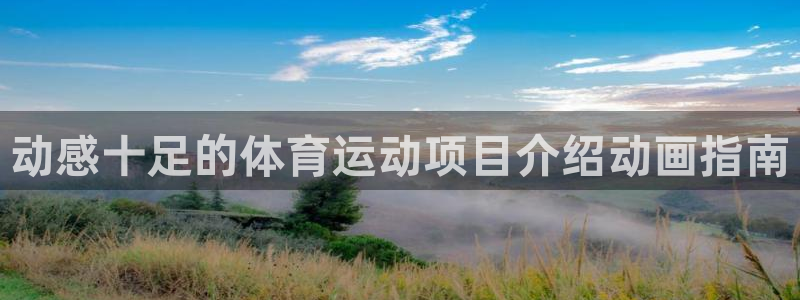 home一必发官网|动感十足的体育运动项目介绍动画指南
