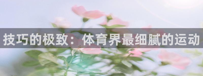 7790必发集团网址|技巧的极致：体育界最细腻的运动