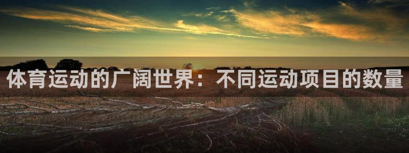 home一必发官网|体育运动的广阔世界：不同运动项目的数量